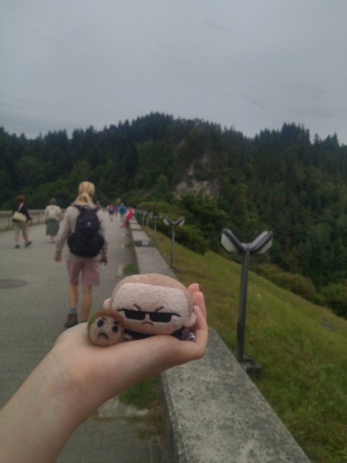 Wesker And Chris (Yeah, It's My First Thing From Wool And Needle Felting) Are On Vacation!