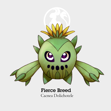 eleanart-approved:  Cacnea Variations/SubspeciesWhen I finally figured that the little