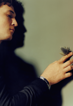 Miles Teller photographed by Jamie Hawkesworth