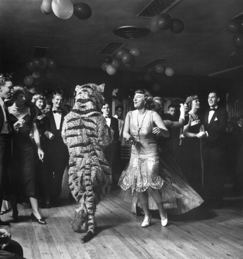 The Princeton tiger gets expert instruction from Barbara Pettit, photo by Martha Holmes, 1949.