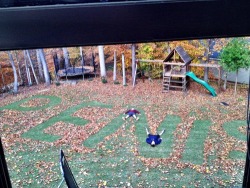 lolfactory:  Apparently this is what happens when you ask two teenagers to rake the leaves☆ funny tumblr ☆ funny reblogs