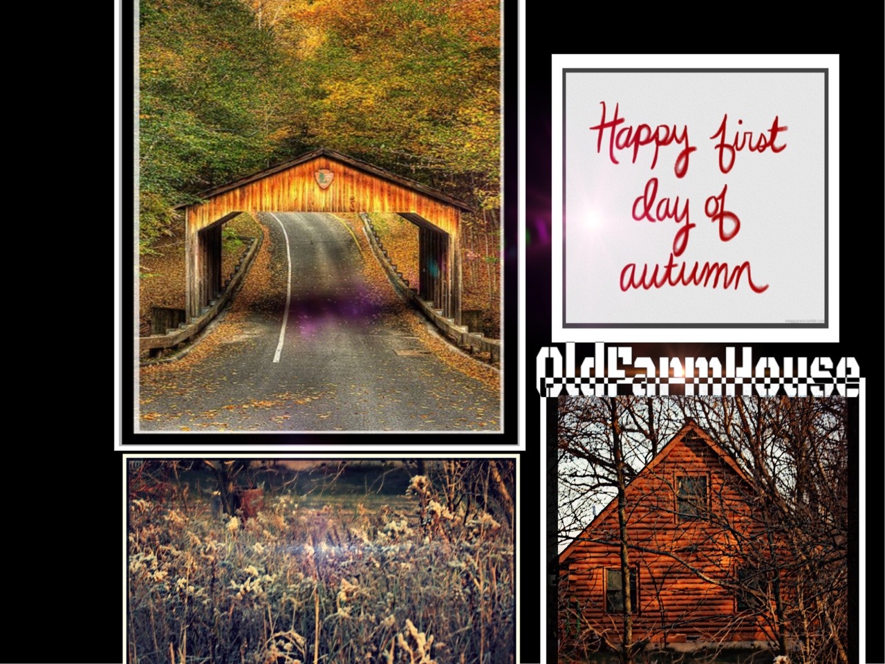 first day of Fall//autumn moodboard own edit Tumblr Pics