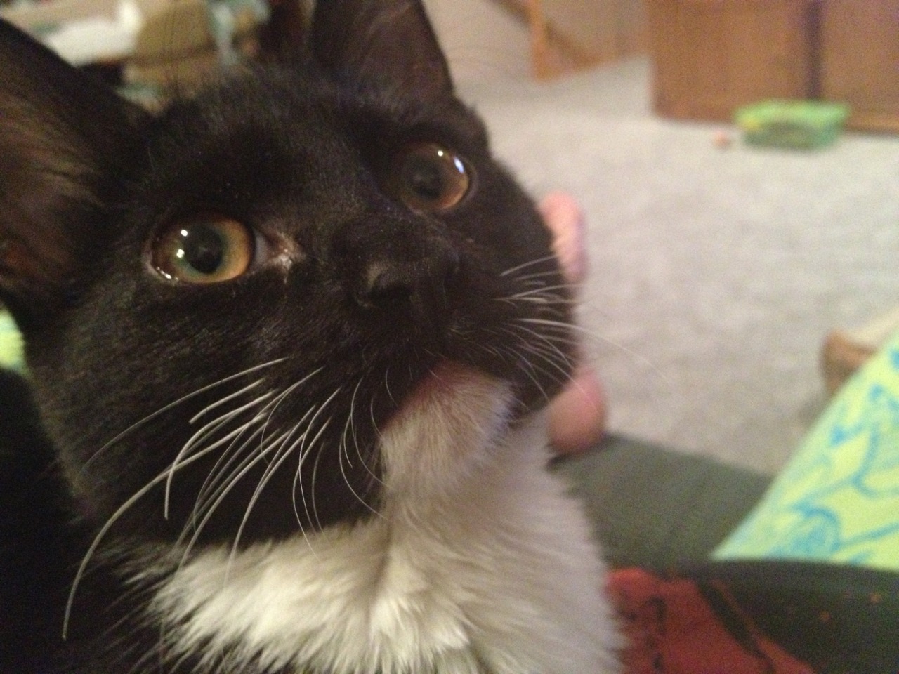 The Thoughts Of A Curious Girl