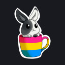 bookishbunnies avatar