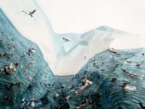 nevver:  Bending reality,Laura Plageman