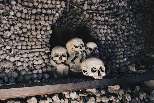 ancient-serpent:Sedlec Ossuary, Kutná Hora, Czech Republic