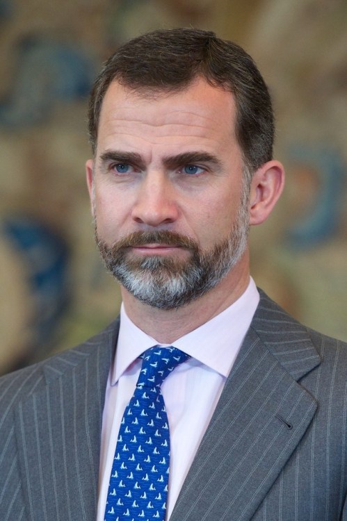 justjimbo: King Felipe rocking the sexy salt and pepper beard. Bet he’s a beast in the bedroom. His 