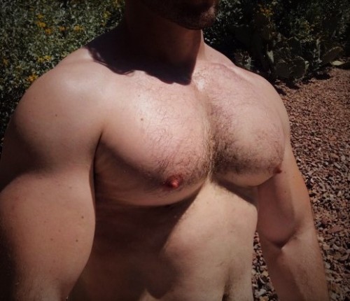 maxx114:                                Oh My……     beautiful pecs pie