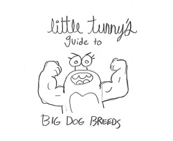 little-tunny: Guide to big dog breeds from