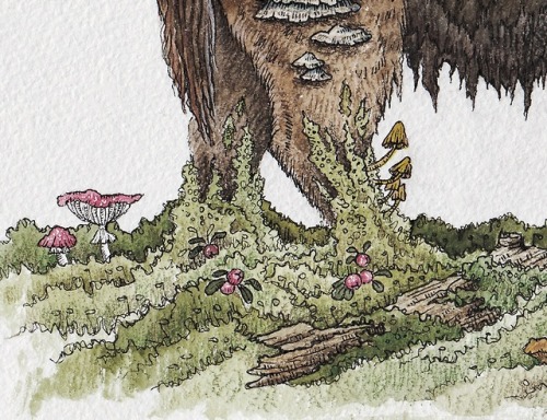 Spirit of Old Forest instagram.com/mossbeast