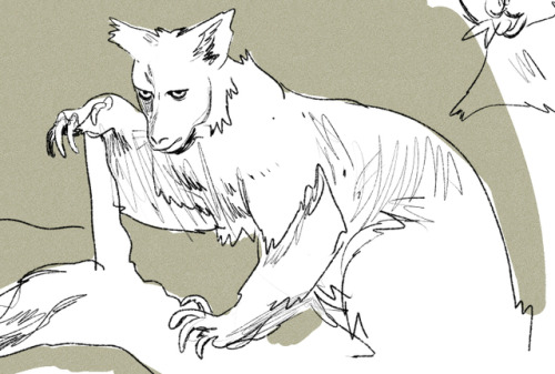 eli-spencer:tree kanga doodles cuz omg theyre CUUUUTE