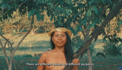 teffthedon:  pachatata:  Yawanawa: Strength. (Brazil 2015) a documentary by DJ Alok Petrillo  So perfectly articulated. 