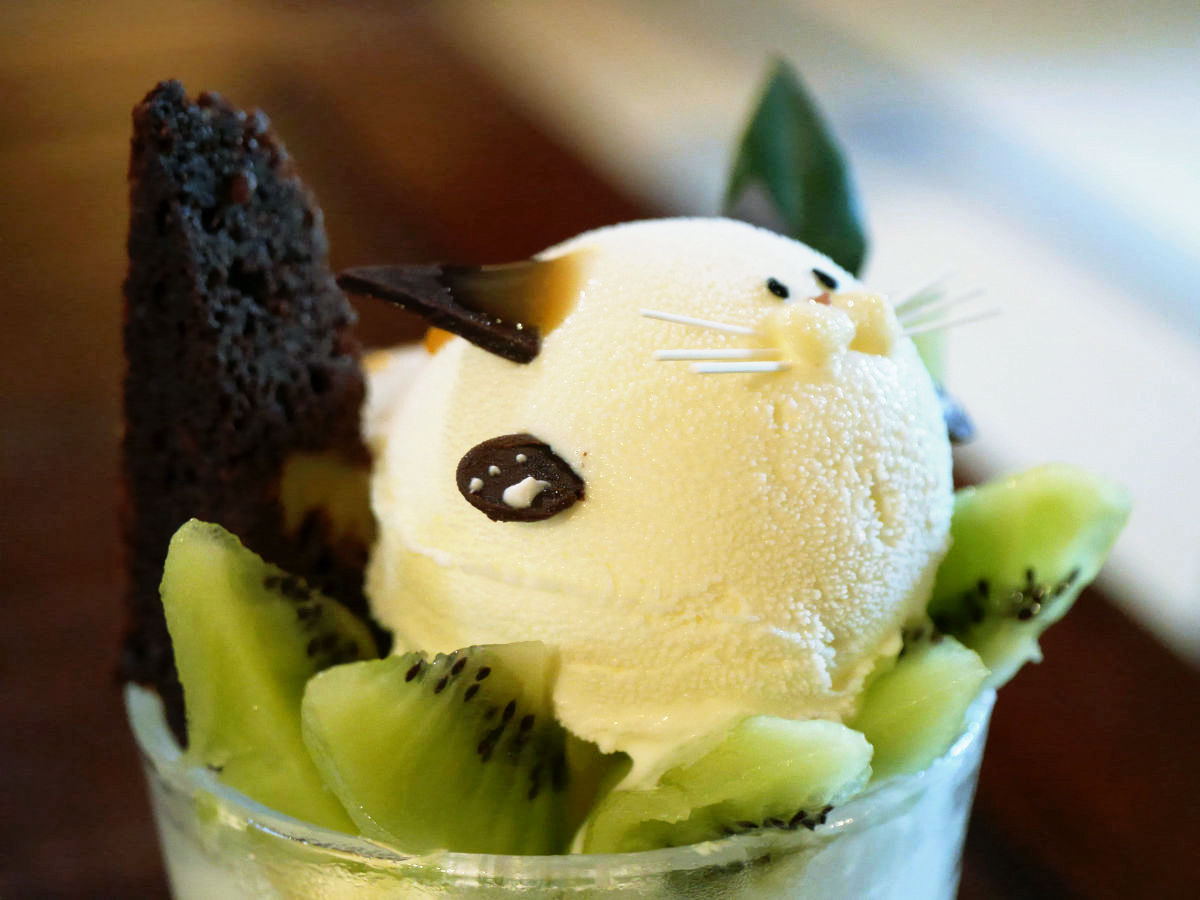 goodpicturesthatilike:  (via かわいすぎるネコがつぶらな瞳で見つめてくる「初恋にゃんこパフェ」を食べてきた