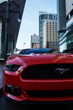 mikicis:  Mustang |SourceLNAG|MVC Foto|Instagram|EyeEm