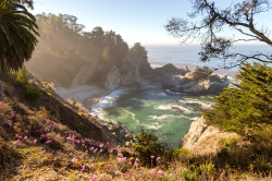 peaceful-moon: Early Morning at McWay Falls in Big Sur, CA source 