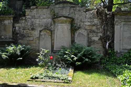 Porn graniteonmypizza: Trinity Cemetery, Dresden, photos