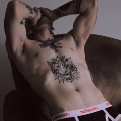An Aficionado of the Male Anatomy