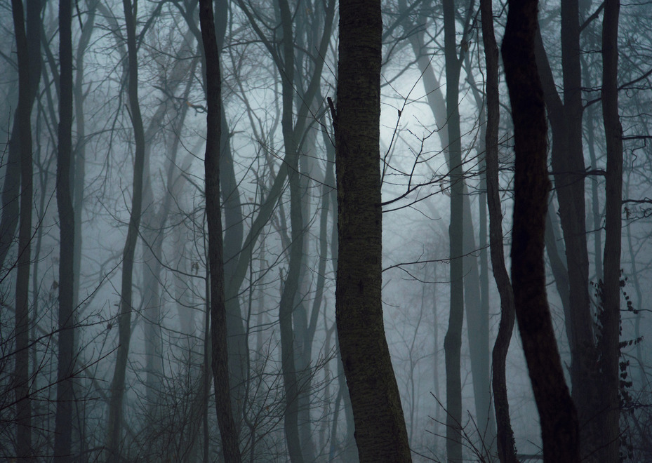 winterfellis:  Jennifer MacNeill
