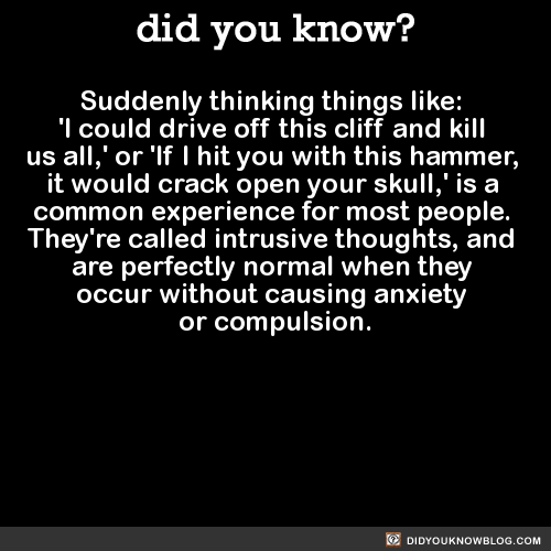 did-you-kno:  Suddenly thinking things like:  ‘I could drive off this cliff and