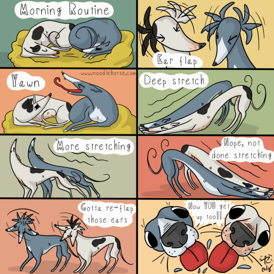 noodlehorsecomics: