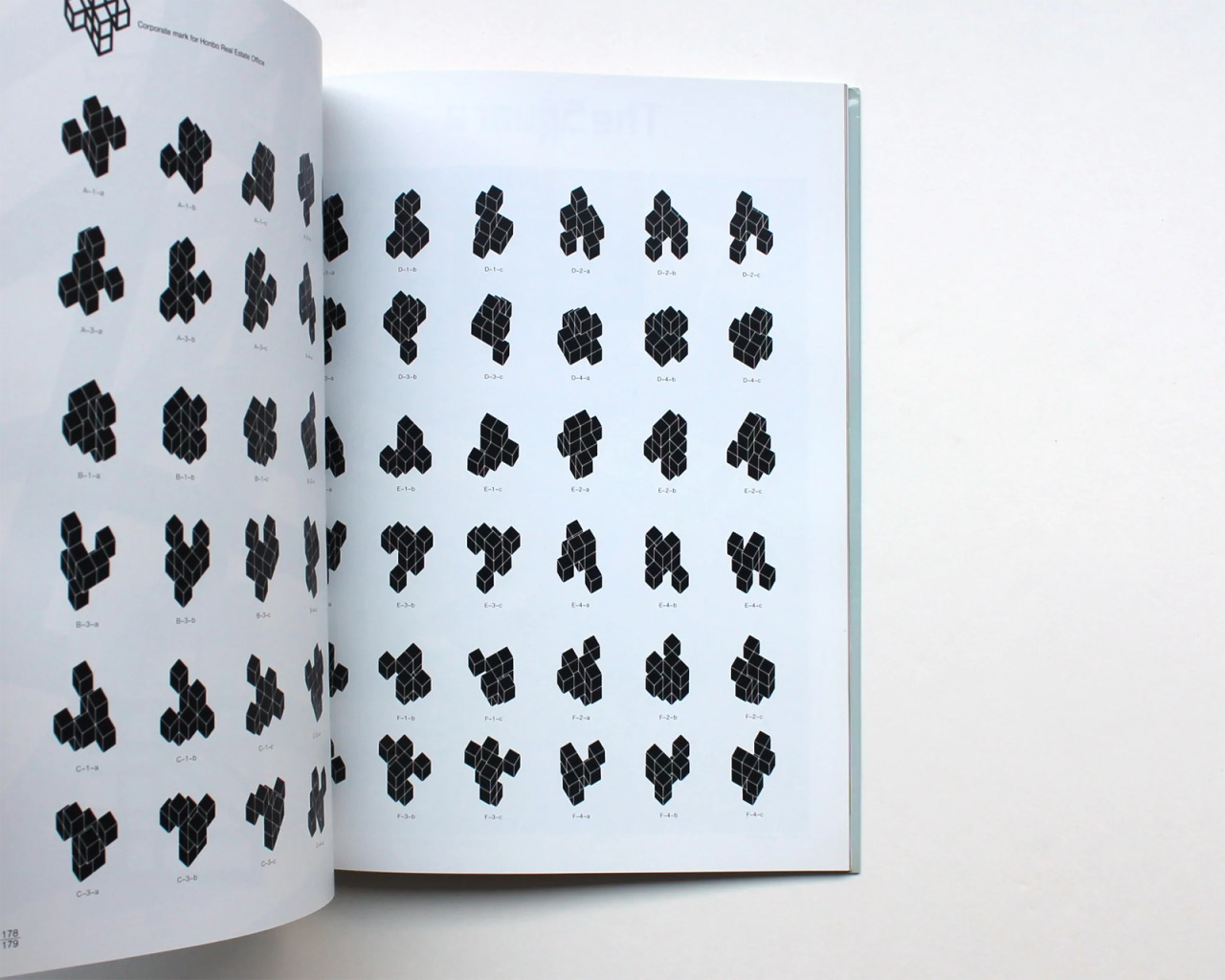 garadinervi : repertori — Takenobu Igarashi, Igarashi Space Graphics