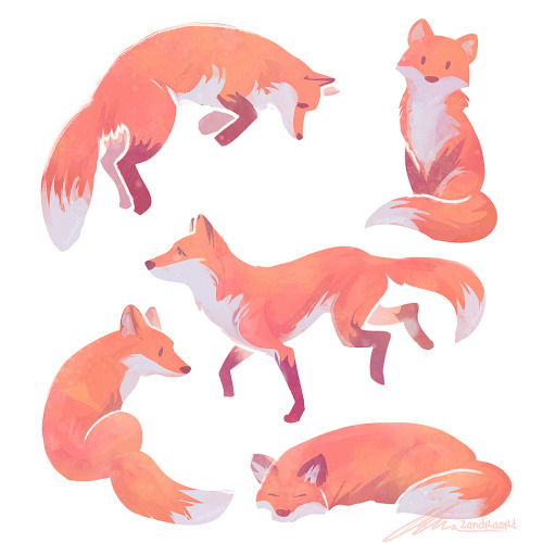 kingoftheghosttrain: zandraart: some foxes @shiromouse