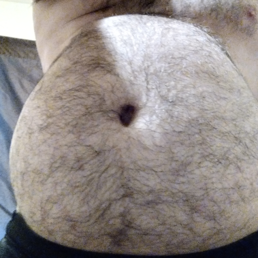 gainerfox21:Chubby fox requires more blubberGood