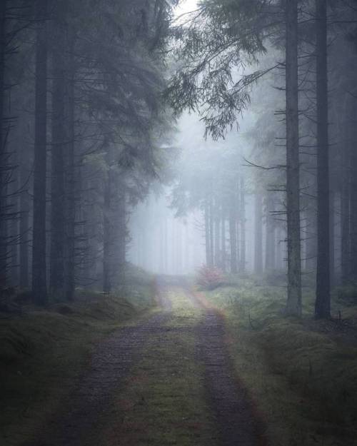 quiet-nymph:Photography by Göran Ebenhart