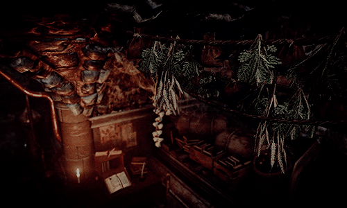 rubberbandgirlme:the witcher scenery: at regis’s [2/?]