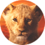 lioncs