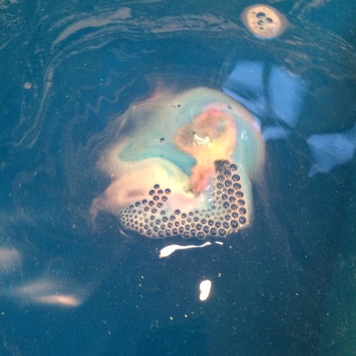cndrblckgarden:  Think I got myself in trouble So I fill the bath with bubbles