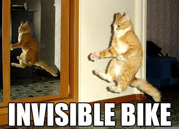 seananmcguire: sophiaslittleblog:  tzikeh:  owl-librarian:  sasgalula:  coolcatgroup:
