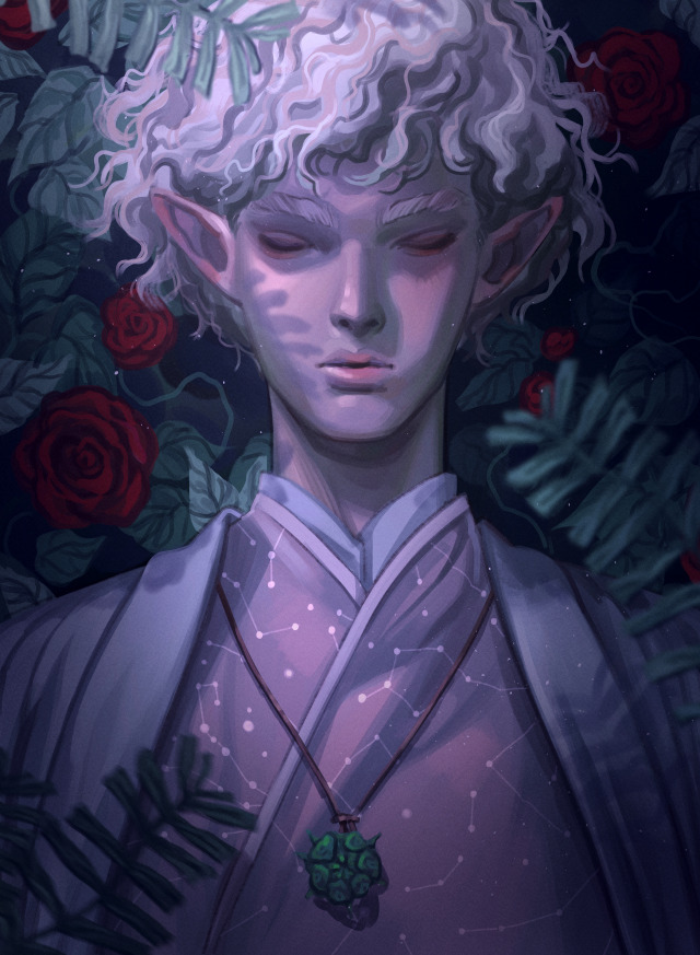 dnd commission for @0pixer!