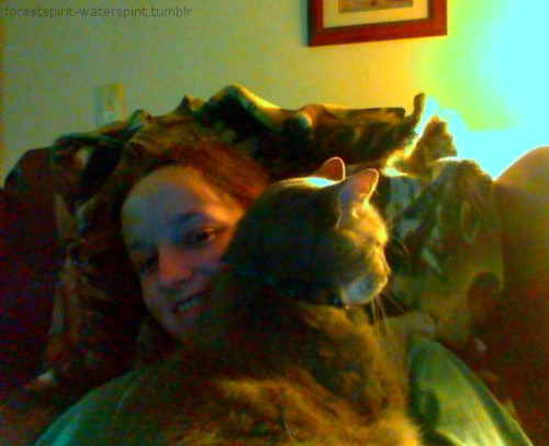 forestspirit-waterspirit:Just a crappy computer camera pic! But my old man climbed on my lap and I c