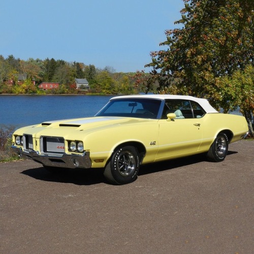 HOT GM CARS