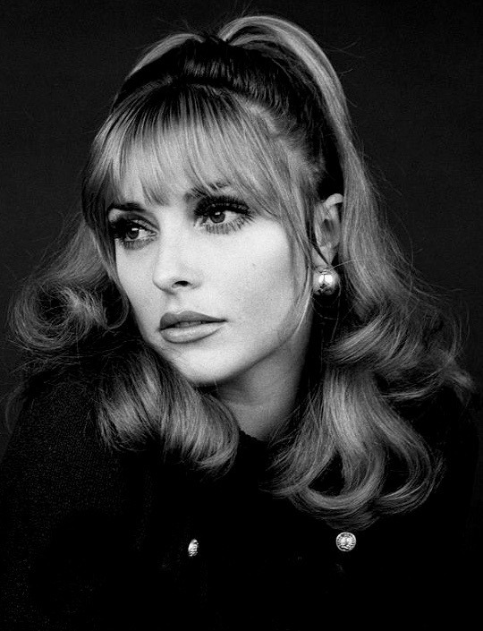 summers-in-hollywood:Sharon Tate, 1966