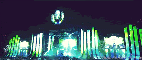 festivalfanatics:  Ultra Japan :)