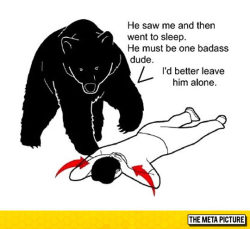 advice-animal:  What Bears Really Thinkhttp://advice-animal.tumblr.com/ 