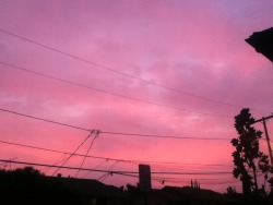 planut:  everything was pink outside tonight