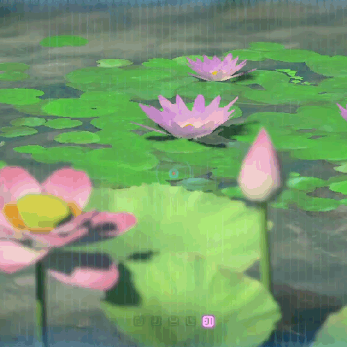 Some Closeup Shots Of Flowers In Breath Of The Wild