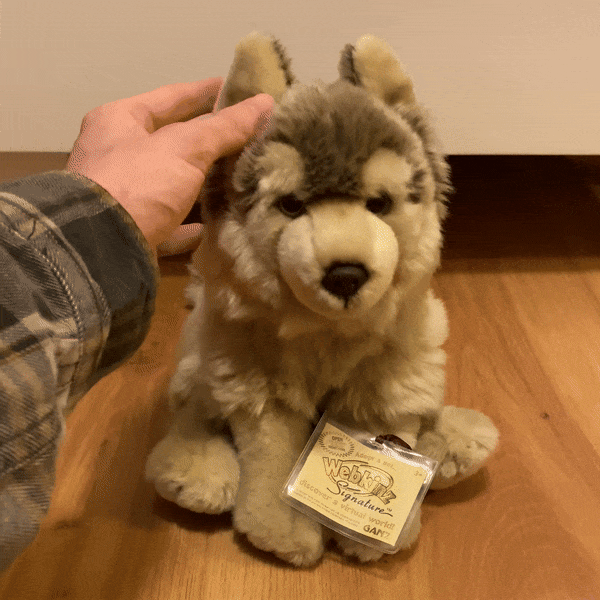 solvenwolff - 🐾solvenwolff🖤