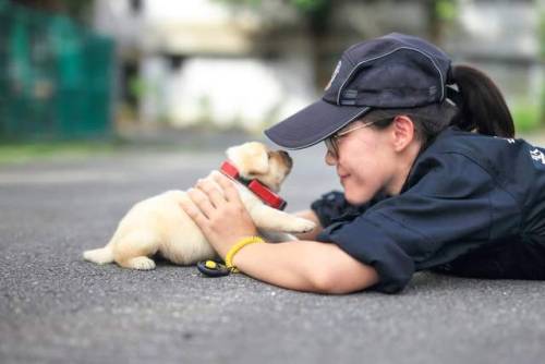 saguarosunflowers:  ithelpstodream:  future members of the taiwan police force  MY FUCKING HEART OMGGG 😭😭😭❤️❤️❤️