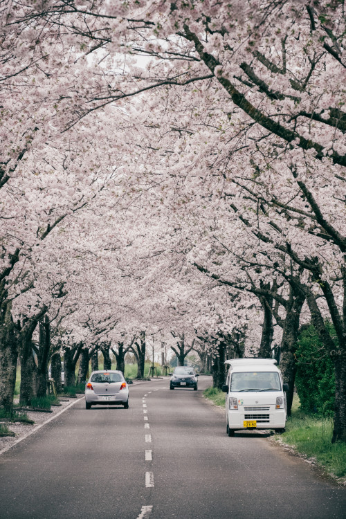 ourbedtimedreams:宮崎。垂水公園 by ViktorLeung on Flickr.