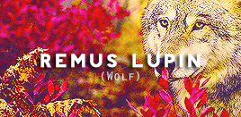 georqeweasleys-blog: Harry Potter characters and their p a t r o n u s e s. 