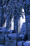 gamerism:ALTALTALTALTALTALTALTALTDRAGON AGE INQUISITION: EMPRISE DU LION - SULEDIN