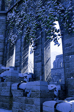 gamerism:ALTALTALTALTALTALTALTALTDRAGON AGE INQUISITION: EMPRISE DU LION - SULEDIN