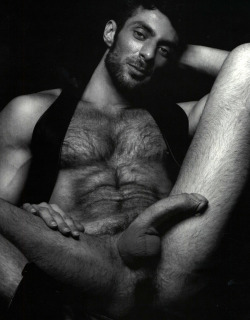Fur Lover