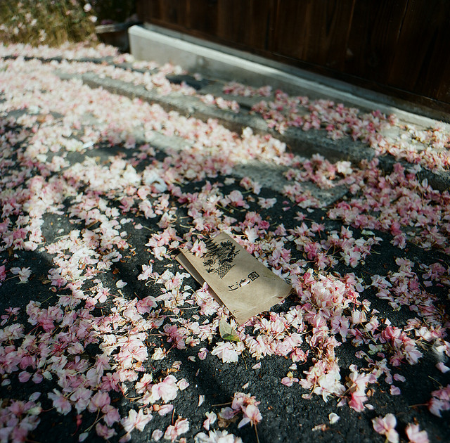 rendermebreathless:  untitled by chillhiro on Flickr. 