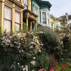 lickgold:  Cute homes in SF