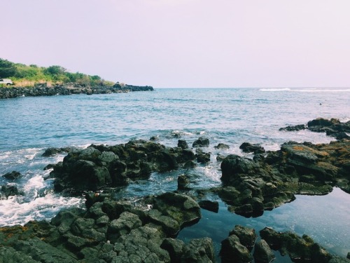 Honeymoon: Punalu'u Beach 3•6•17